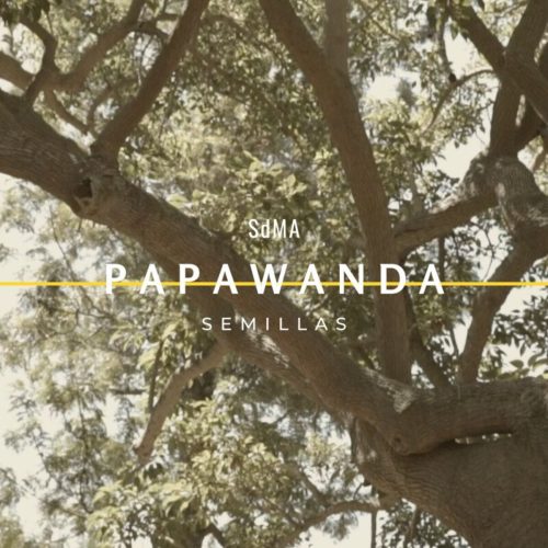semillas-papawanda.jpg